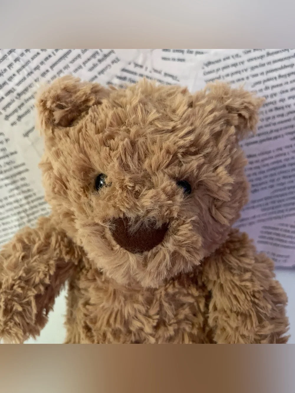 Brown Bear Plushie